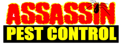 assassin_logo